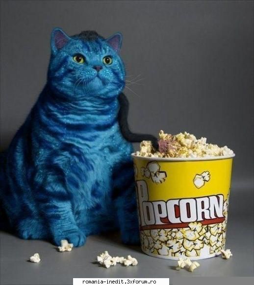 Avatar 2 - Xpector - Funny