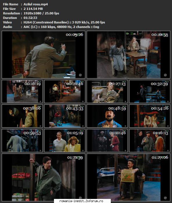 Azilul rosu(Teatrul Toma Caragiu Ploiesti) - sasadoru - Teatru rom�nesc - Romanian Theater