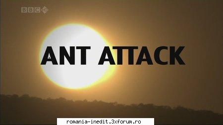 BBC - Natural World: Ant Attack - BBC - Natural World: Ant Attack (2005) English | - Filme Documentare