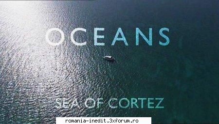 BBC - Oceans: Sea of Cortez - BBC - Oceans: Sea of Cortez English | 720p | MKV - Filme Documentare