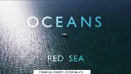 BBC - Oceans: The Red Sea - BBC - Oceans: The Red Sea English | 720p | MKV | - Filme Documentare