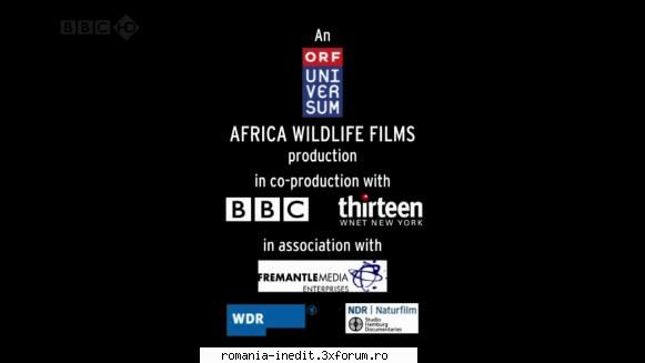 [BBC] Africa's Dragon Mountain (2010) - Africa's Dragon Back (2009) BBC.HD Natural World - Filme Documentare