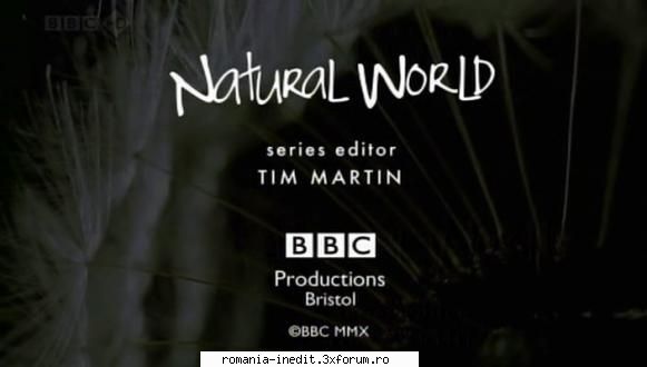 [BBC] Prairie Dogs: Talk of the Town (2010) - Titlul �ntreg: BBC.HD - Natural World - Filme Documentare