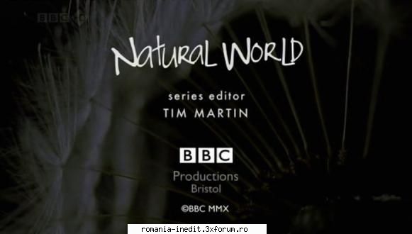 [BBC] The Himalayas (2010) - The Himalayas (2010) S30E04 BBC Natural World - Filme Documentare