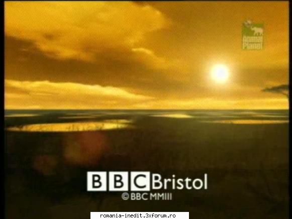 [BBC] Tigers of the Emerald Forest (2003) - Tigers of the Emerald Forest (2003) BBC - Filme Documentare