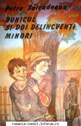 [B] Literatura contemporana pentru adolescenti - Bună seara! Petre - Carti in limba romana