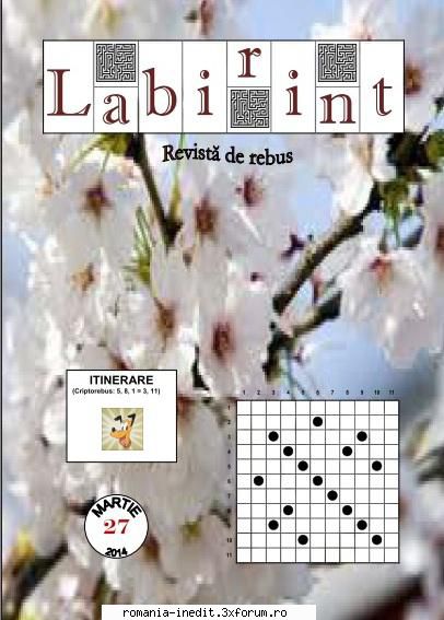 [B] Publicaţii cu probleme distractive - Revista Labirint nr.27 - Carti in limba romana