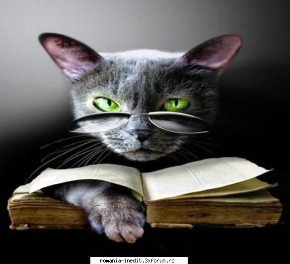 [B] Roger Zelazny - AMBER - Roger Zelazny - Printul Haosului PDF din imagini - Carti in limba romana