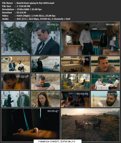 Baietii buni ajung in Rai (2024) - Regia Radu Potcoavă Distributie - Filme rom�nesti - Romanian Movies
