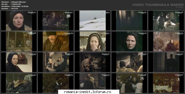 Baltagul (1985) - sasadoru - Filme rom�nesti - Romanian Movies