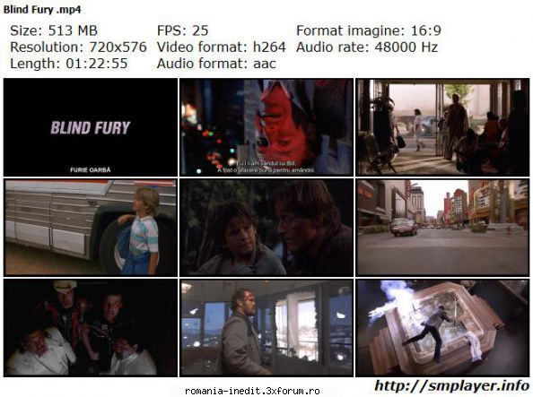 Blind Fury (1989) - Blind Fury (1989) Furie oarba Audio / Engleza - Filme clasice - Old Movies