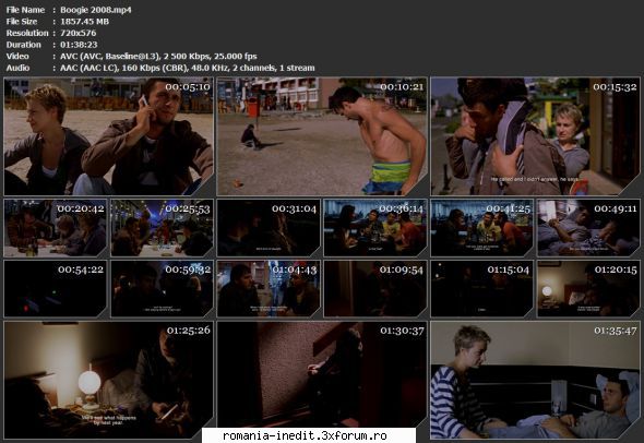 Boogie (2008) - dvdrip 2008.mp4 - Filme rom�nesti - Romanian Movies