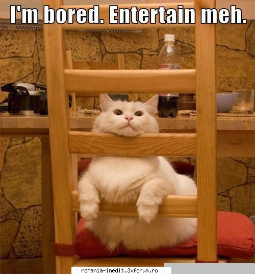 Bored - Xpector - Funny
