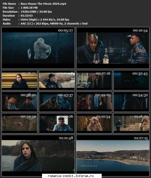 Buzz House: The Movie (2024) - Buzz House: The Movie este un film - Filme rom�nesti - Romanian Movies