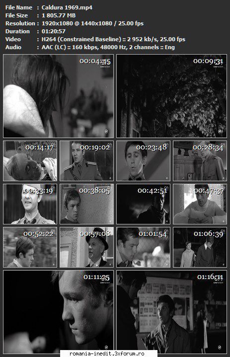Căldura (1969) - sasadoru - Filme rom�nesti - Romanian Movies