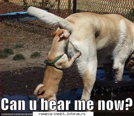 Can you hear me now? - Xpector - Funny
