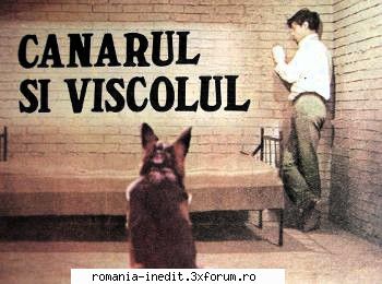 Canarul si viscolul (1969) - Repostari ! Canarul si viscolul (1969) TVRip - Filme rom�nesti - Romanian Movies