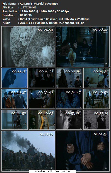 Canarul si viscolul (1969) - sasadoru - Filme rom�nesti - Romanian Movies