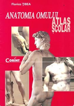 Carti pentru copii - Anatomia omului - Carti pentru copii - Books