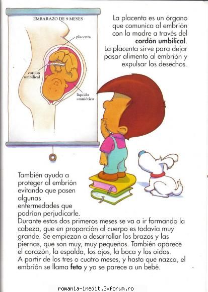 Carti pentru copii - Y de dondesale este bebe? ( educatie sexuala si - Carti pentru copii - Books