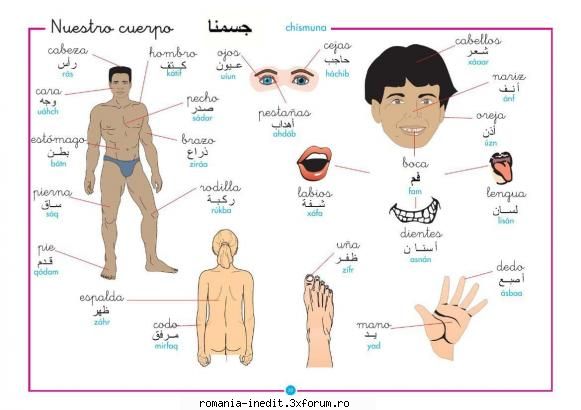 Carti pentru copii - Dictionar ilustrat spaniol-arab Type: jpg Size - Carti pentru copii - Books