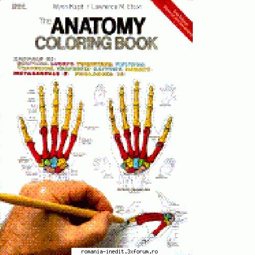 Carti pentru copii - Anatomy coloring book Type: pdf Size: 25 MB - Carti pentru copii - Books