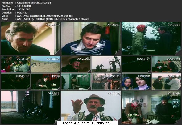 Casa dintre cimpuri (1980) - sasadoru - Filme rom�nesti - Romanian Movies