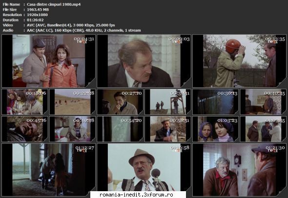 Casa dintre cimpuri (1980) - sasadoru - Filme rom�nesti - Romanian Movies