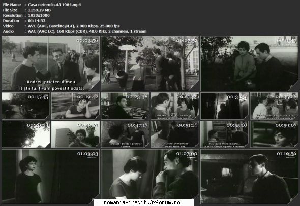 Casa neterminata (1964) - sasadoru - Filme rom�nesti - Romanian Movies