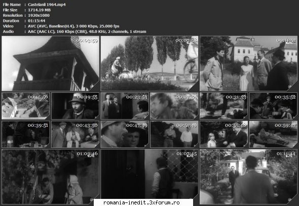Castelanii (1964) - sasadoru - Filme rom�nesti - Romanian Movies