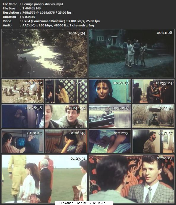 Cenusa pasarii din vis (1989) - sasadoru - Filme rom�nesti - Romanian Movies