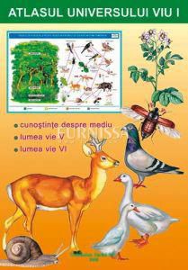 Cereti orice pentru copilul dumneavoastra... - buna are cineva idee de unde pot - Carti pentru copii - Books