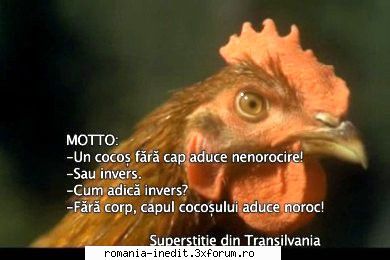 Cocosul decapitat (2007) - Repostare ! Cocoşul decapitat (2007) Der - Filme rom�nesti - Romanian Movies