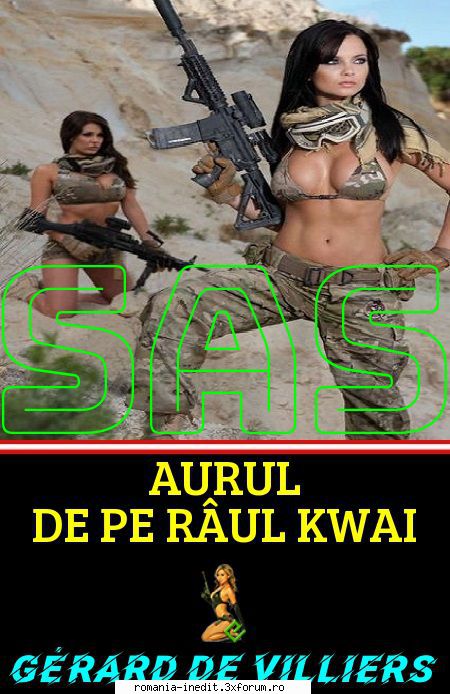 Coperti personalizate pentru ebookuri - Nr. 10 - Aurul de pe r� - Totul despre cărți - About e-books
