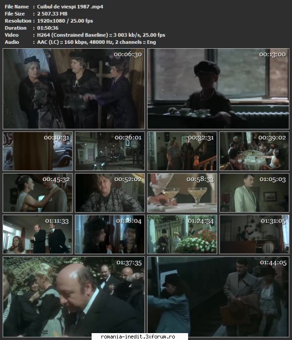 Cuibul de Viespi (1986) - sasadoru - Filme rom�nesti - Romanian Movies