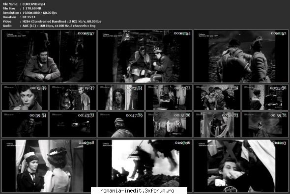 Curcanii (1977) (Teatru TV) - sasadoru - Teatru rom�nesc - Romanian Theater
