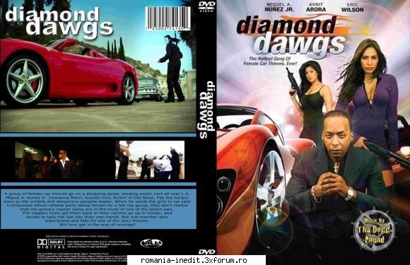 Diamond Dawgs.2009.DVDRip.XviD - Diamond Dawgs.2009.DVDRip.XviD-VoMiT.torrent - Filme - Movies