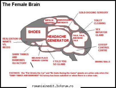 Differences between Male and Female Brains - Raven - Funny