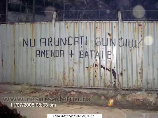 Din ciclul MADE in ROMANIA - Raven - Funny