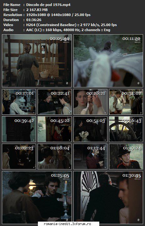 Dincolo de pod (1975) - sasadoru - Filme rom�nesti - Romanian Movies
