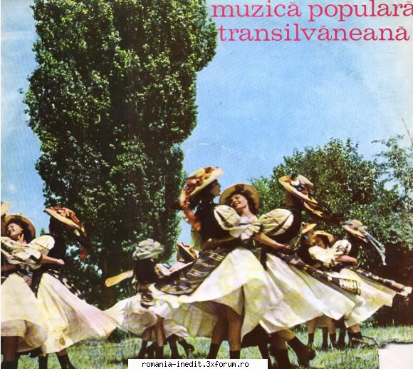 Discuri vinil cu muzica populara - Raritati - Muzica Populara Tra - Muzica populara romaneasca - Romanian folk