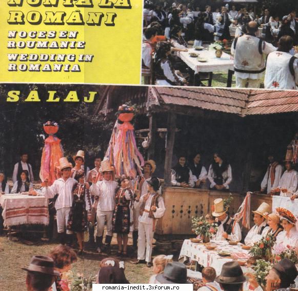 Discuri vinil cu muzica populara - Raritati - Nunta la Romani Sal - Muzica populara romaneasca - Romanian folk