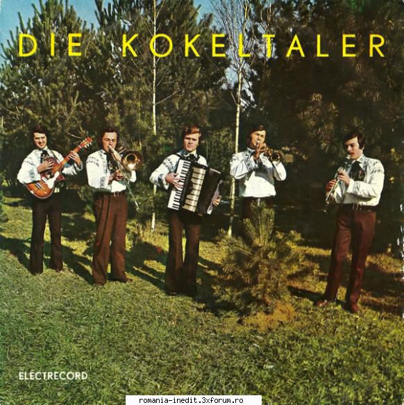 Discuri vinil cu muzica populara - Raritati - Muzica populara ger - Muzica populara romaneasca - Romanian folk