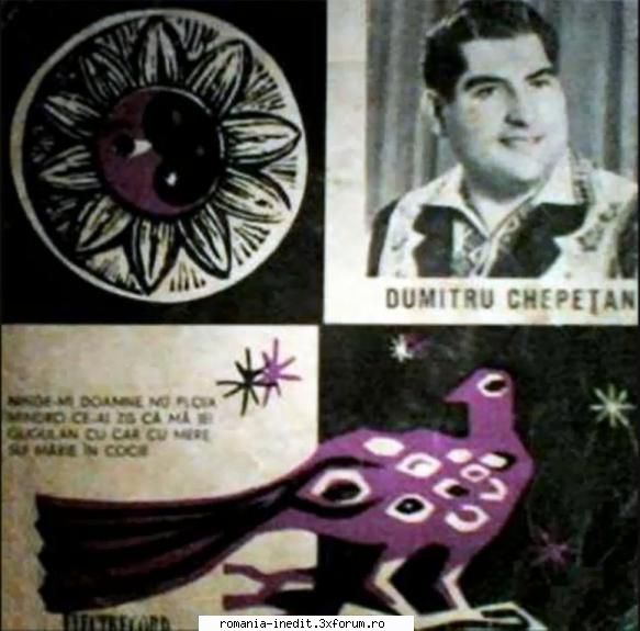 Discuri vinil cu muzica populara - Raritati - Dumitru Chepetan ( - Muzica populara romaneasca - Romanian folk