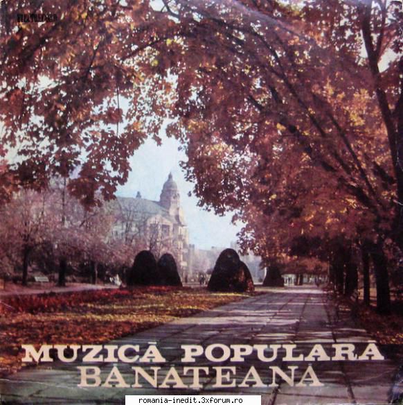 Discuri vinil cu muzica populara - Raritati - Muzica Populara Ban - Muzica populara romaneasca - Romanian folk