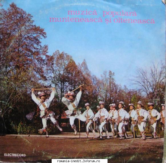 Discuri vinil cu muzica populara - Raritati - Muzică popular - Muzica populara romaneasca - Romanian folk