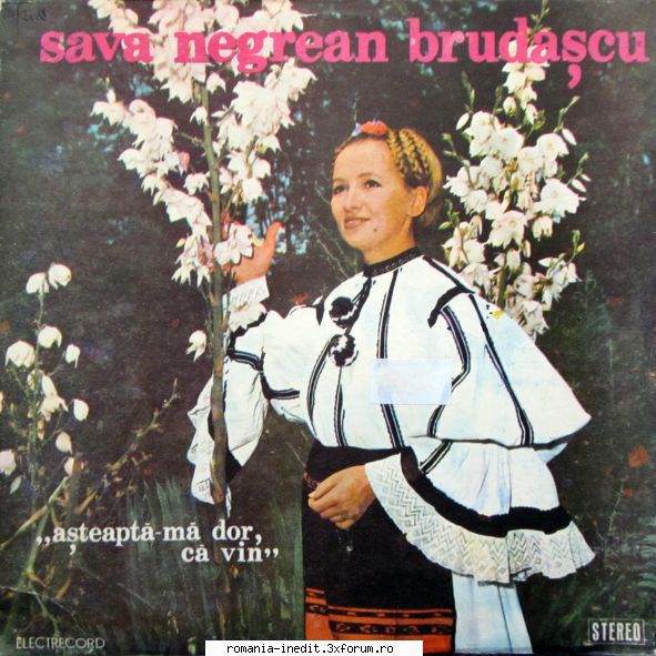 Discuri vinil cu muzica populara - Raritati - Sava Negrean-Bruda& - Muzica populara romaneasca - Romanian folk