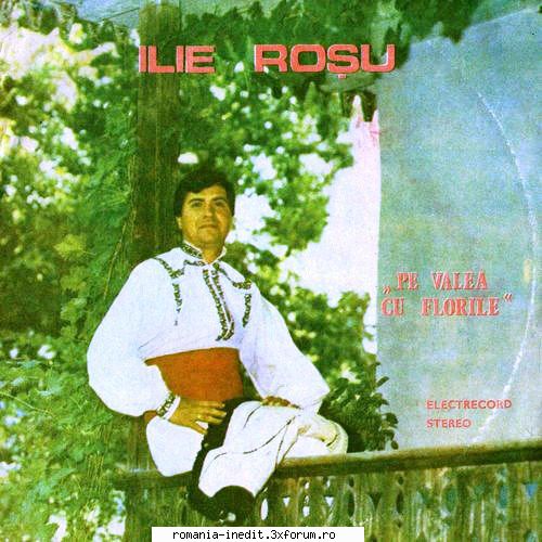 Discuri vinil cu muzica populara - Raritati - Ilie Roşu - Pe - Muzica populara romaneasca - Romanian folk