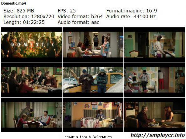 Domestic (2012) - Domestic (2012) - Filme rom�nesti - Romanian Movies