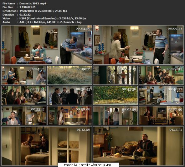 Domestic (2012) - sasadoru - Filme rom�nesti - Romanian Movies